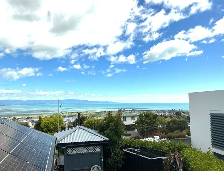  113 Panorama Drive Enner Glynn_15