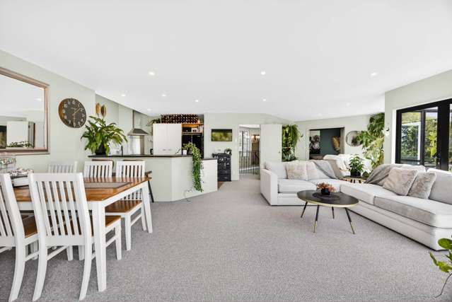 17a Sartors Avenue Browns Bay_3