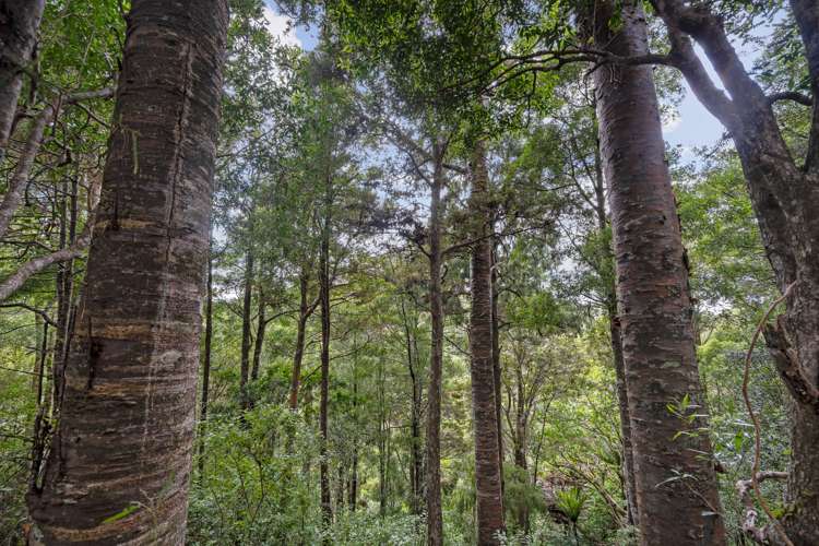 15 Waiparera Road Parua Bay_14