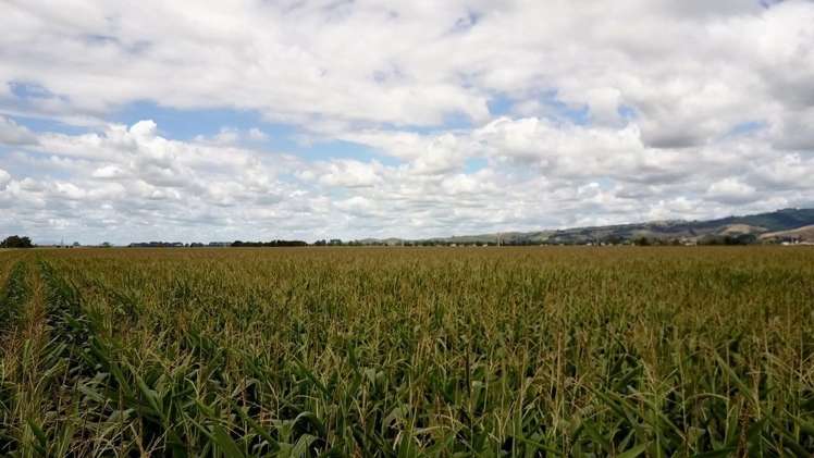 124 Tramline Road Patetonga_10