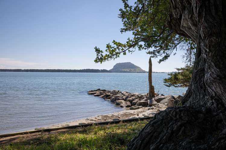 46 Ranui Street Matua_20