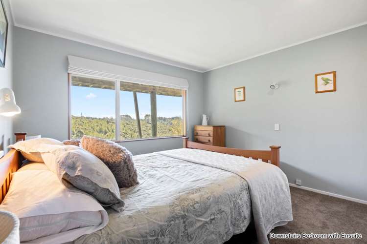 352 Wright Road Dairy Flat_23