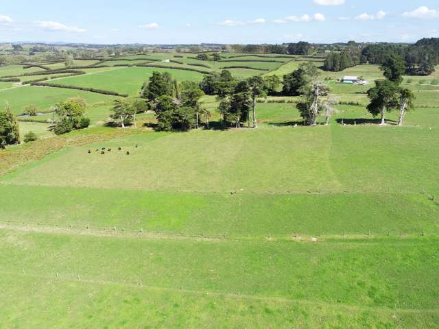 197 Charles Road Karaka_3