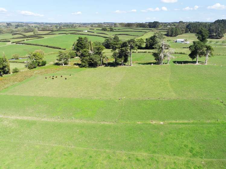 197 Charles Road Karaka_3