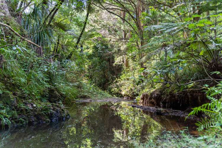 974 Cove Road Waipu_22