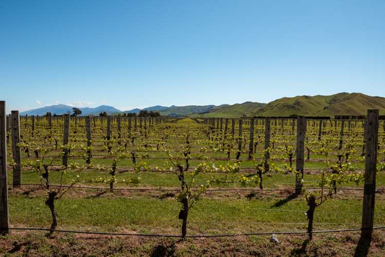 1803 Redwood Pass Road Seddon_10