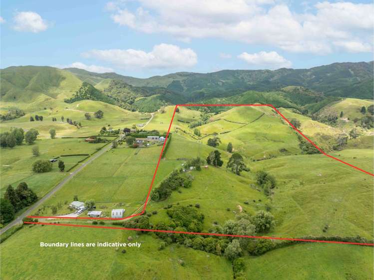 116A Hill Road Te Aroha_4