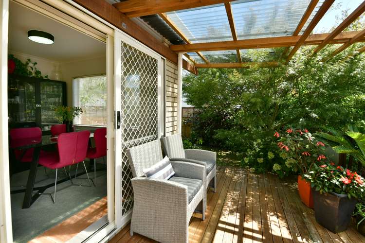 41 Rishworth Avenue Stanmore Bay_13