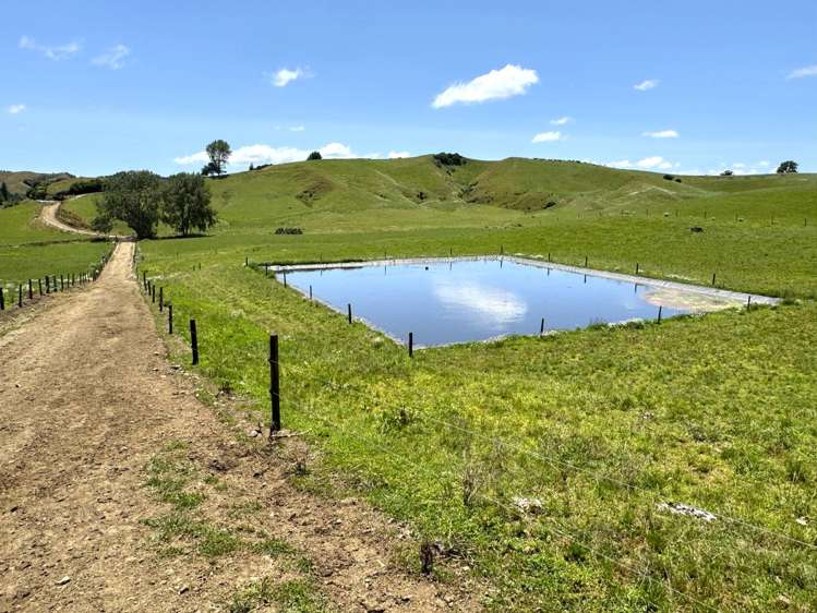 219 Waitomo Valley Road Otorohanga_21