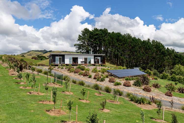 169 Torehape Road West Kaihere_44