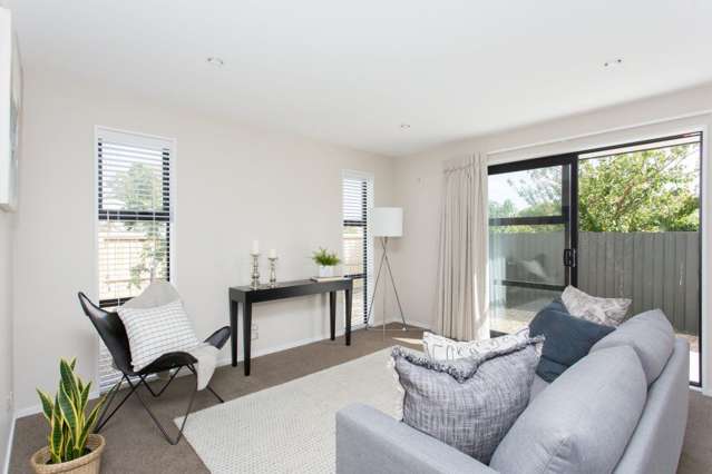 256 Lyttelton Street Spreydon_4