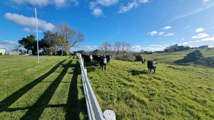 303 Port Albert Road Wellsford_29