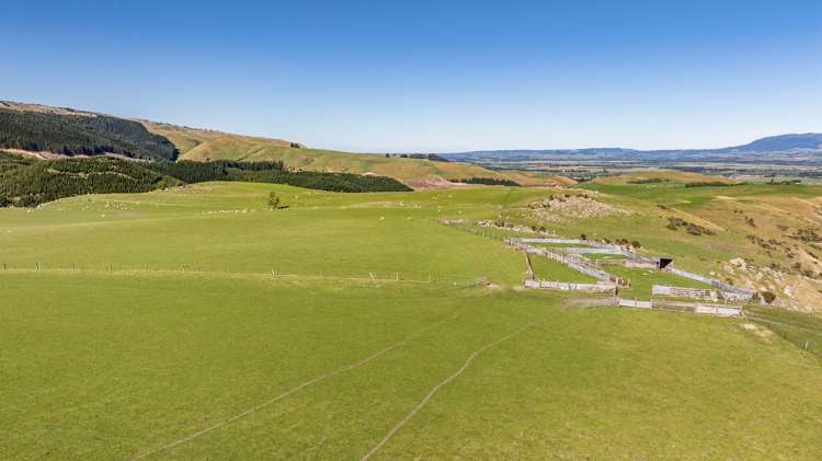 614 Omihi Road Omihi_12