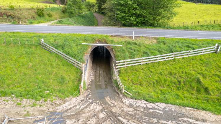 51 Falkner Road Eketahuna_18