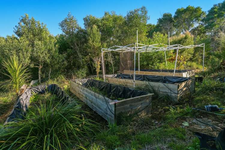 215 Tahanga Road Lake Ohia_31