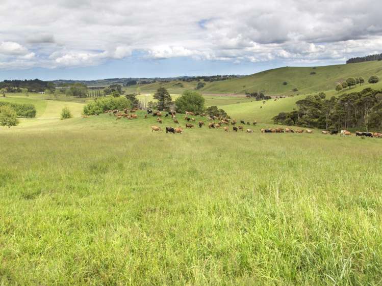 78 Morrison Road Arapohue_5