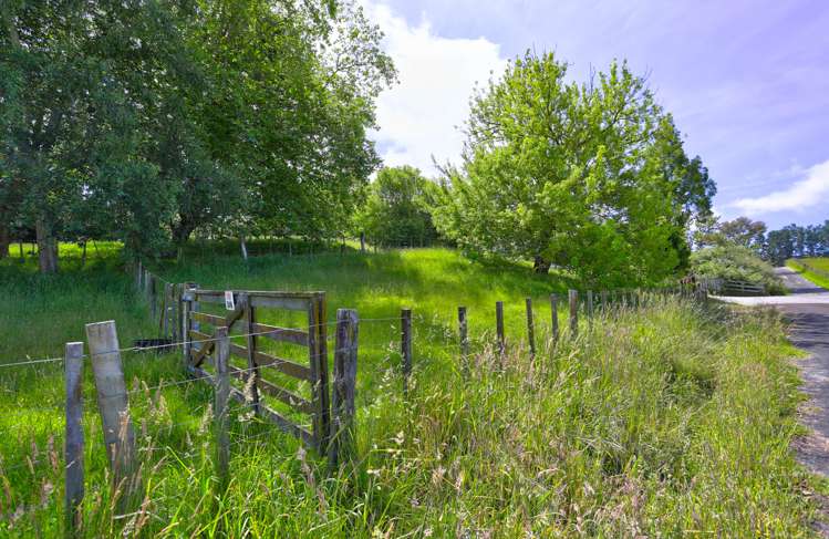 215a No 3 Line Wanganui East_6