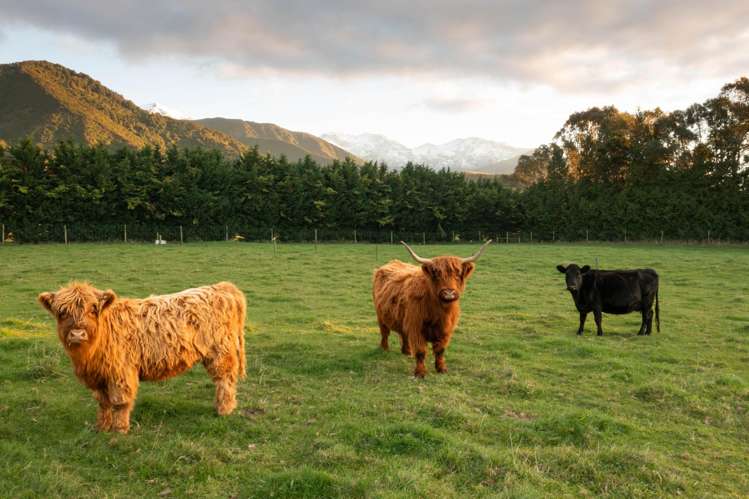 22 Koura Bay Drive Hapuku_16