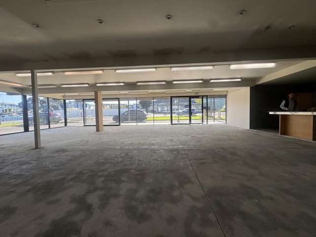 15-17 Kalmia Street Ellerslie_4