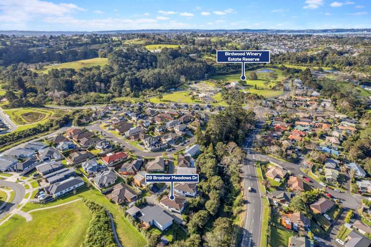 29 Bradnor Meadows Drive Swanson_20