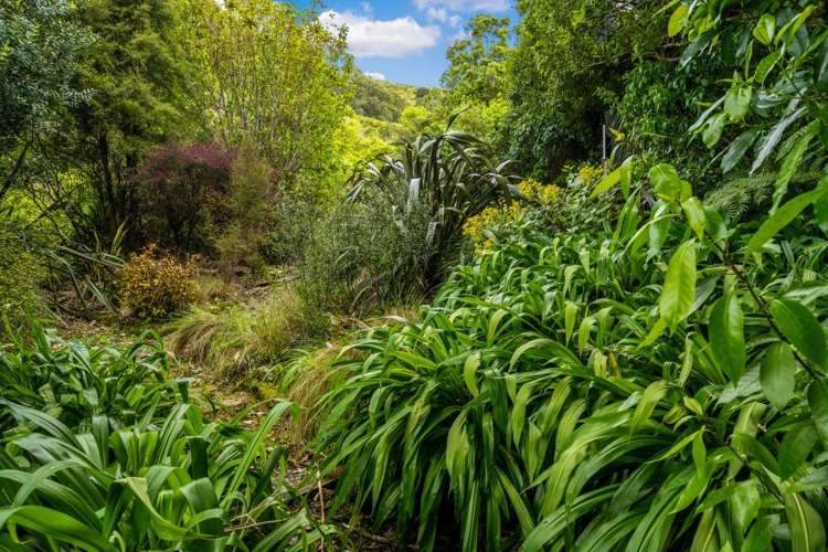 79 Moenui Bay Havelock_40