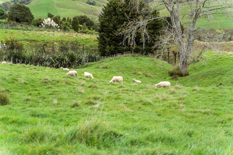 404 Otuiti Road Pukekawa_25