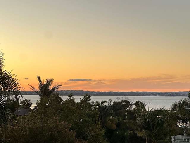 190 Garnet Road Westmere_1