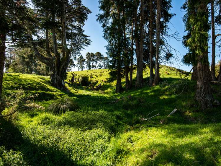 Ruatiti Road Raetihi_8