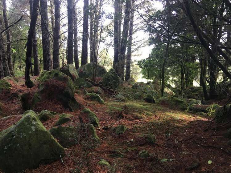 115 Waiare Road Okaihau_23