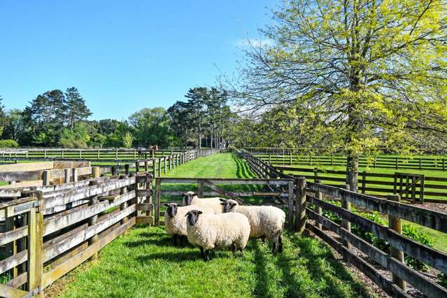 58 Ellett Road Karaka_4