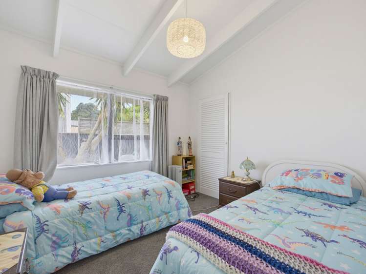 133 Tiro Tiro Road Levin_9