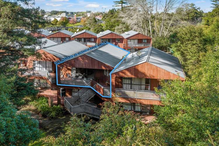 17/3 The Avenue Albany_11