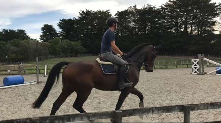 19 Valley Road Waitoki_33