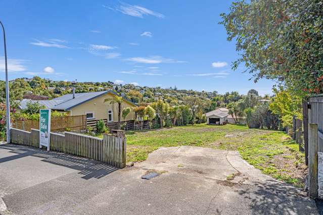 19 Van Diemen Street Nelson South_2