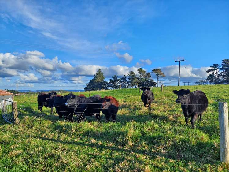 32 Hay Road Hukerenui and Surrounds_24