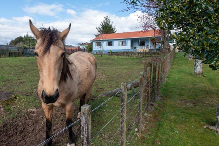 55 Patetere Street Mamaku_17