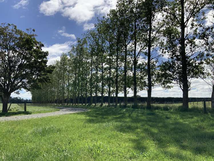 1710 Ealing Montalto Road Ashburton_43