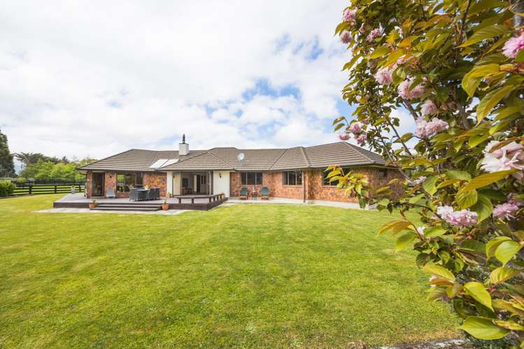 38B Grove Road Hiwinui_21