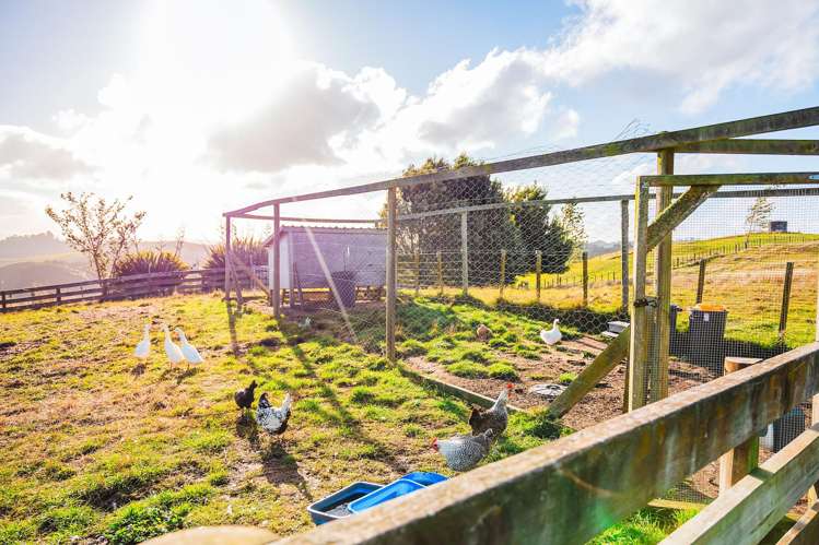 216 Kawakawa Road Kinloch_24