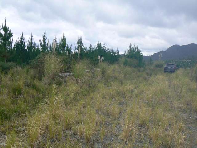 20.1285 ha (More or Less) Lot 45 Forestry Block