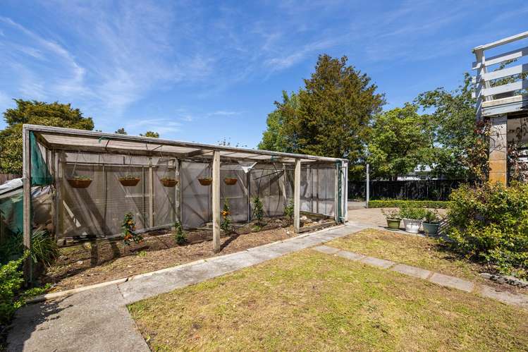 34 Jordan Terrace, Lansdowne Masterton_23