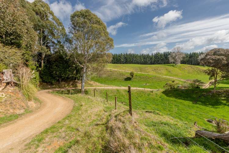 461 Otamarakau Valley Road Pukehina_14
