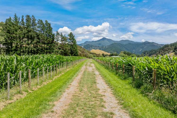 140 Leslies Road Okaramio_35