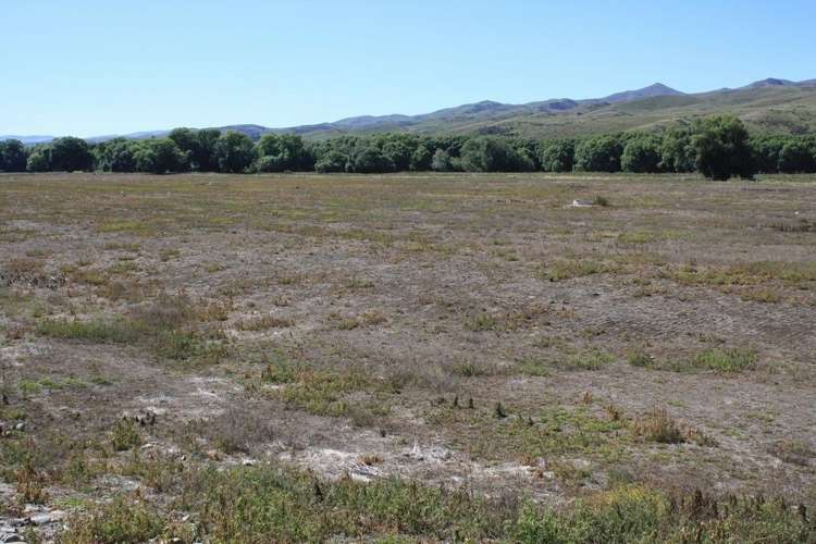 766 Hakataramea Valley Road Hakataramea Valley_6