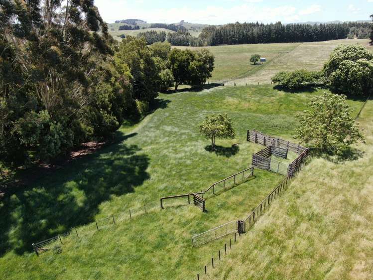 223 Farm Road Waipukurau_18