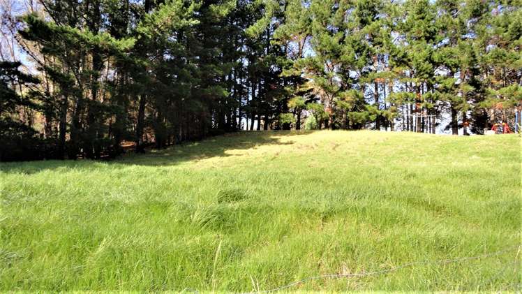 154 Garbolino Road Mangawhai_14