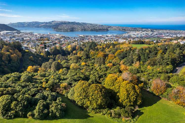 21 Harcourt Street Belleknowes_22