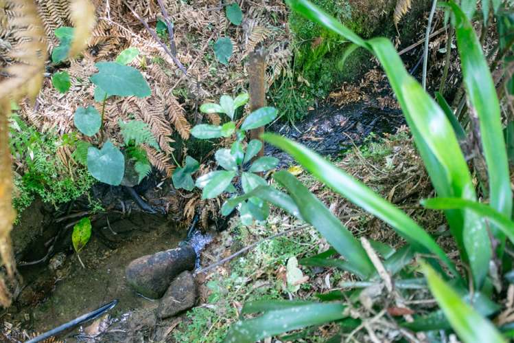 210A Goble Road Komata_22