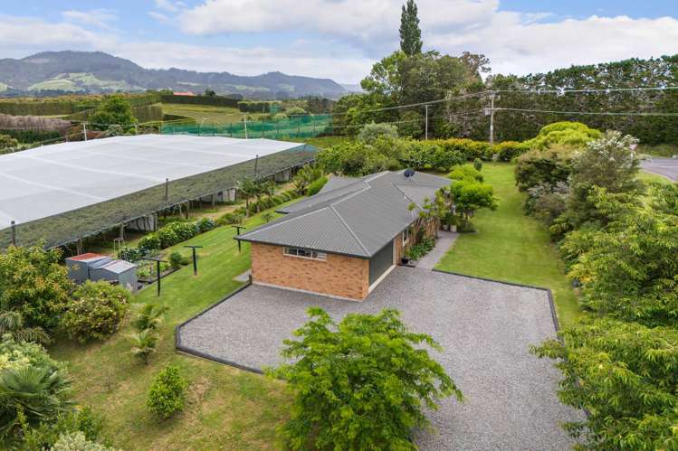 4 Castlegrace Drive Tahawai_15