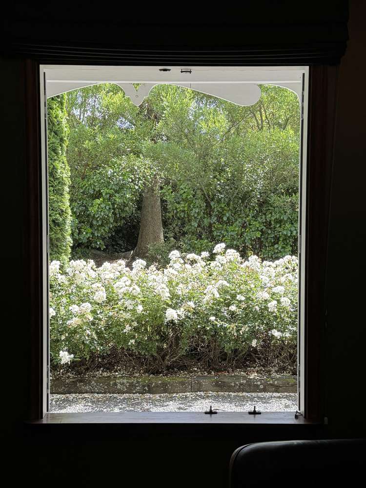 2195 Old West Coast Road Kirwee_23